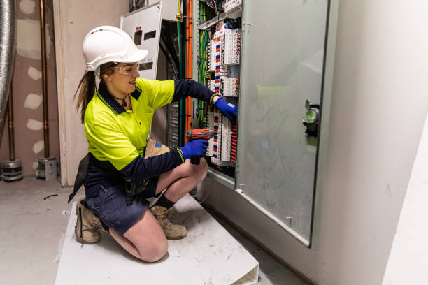 Best Electric Panel Repair  in Houghton, MI